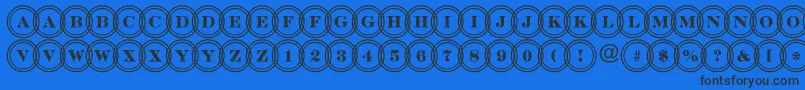 DiscoserifdblovlRegular Font – Black Fonts on Blue Background