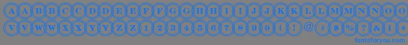 DiscoserifdblovlRegular Font – Blue Fonts on Gray Background