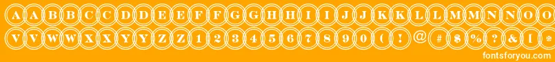 DiscoserifdblovlRegular Font – White Fonts on Orange Background