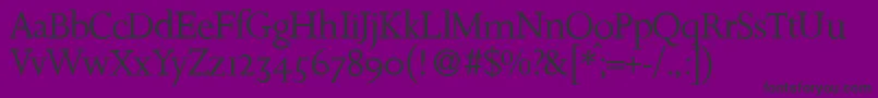 フォントJosieLightRegular – 紫の背景に黒い文字