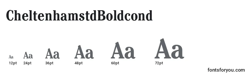 CheltenhamstdBoldcond Font Sizes