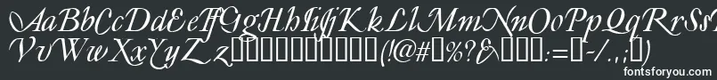 フォントLyonesseTM – 白い文字