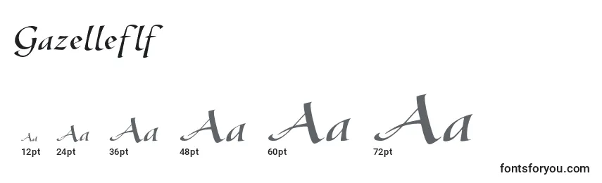Gazelleflf Font Sizes
