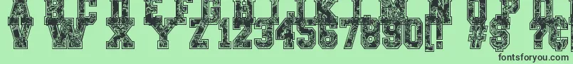 PaysleySports Font – Black Fonts on Green Background