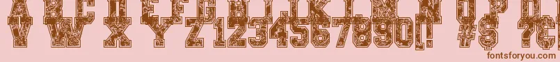 PaysleySports Font – Brown Fonts on Pink Background