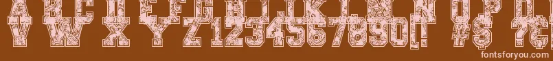 PaysleySports Font – Pink Fonts on Brown Background