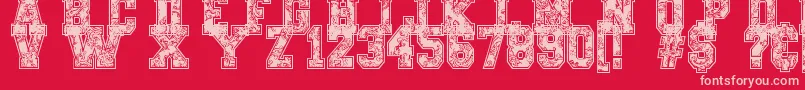 PaysleySports-Schriftart – Rosa Schriften auf rotem Hintergrund