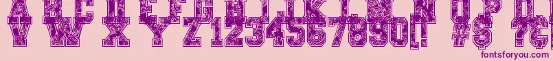 PaysleySports Font – Purple Fonts on Pink Background