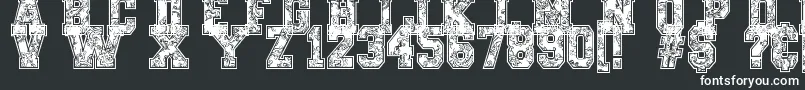 PaysleySports Font – White Fonts on Black Background
