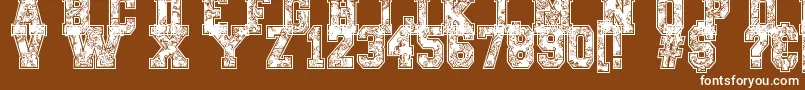 PaysleySports Font – White Fonts on Brown Background