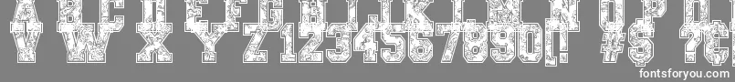 PaysleySports Font – White Fonts on Gray Background