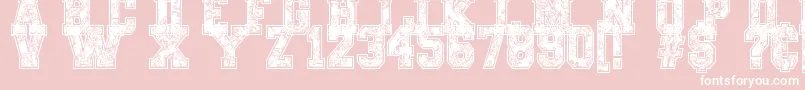 PaysleySports Font – White Fonts on Pink Background