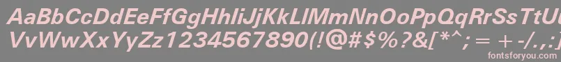 UniversРџРѕР»СѓР¶РёСЂРЅС‹Р№РљСѓСЂСЃРёРІ Font – Pink Fonts on Gray Background