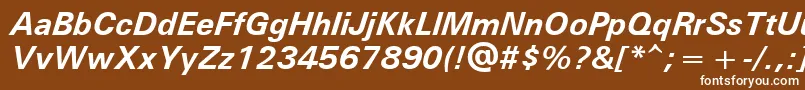 UniversРџРѕР»СѓР¶РёСЂРЅС‹Р№РљСѓСЂСЃРёРІ Font – White Fonts on Brown Background