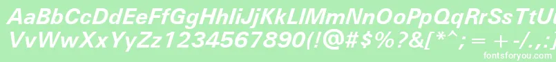 UniversРџРѕР»СѓР¶РёСЂРЅС‹Р№РљСѓСЂСЃРёРІ Font – White Fonts on Green Background
