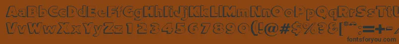 CamdenRegularDb Font – Black Fonts on Brown Background