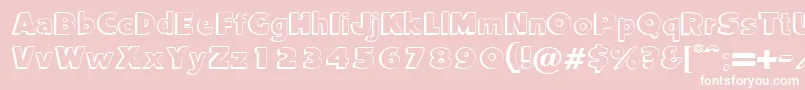 CamdenRegularDb Font – White Fonts on Pink Background