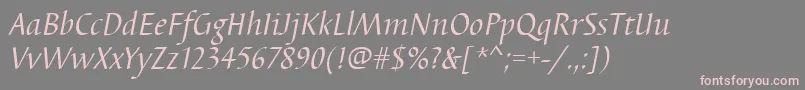 BarbedortItalic Font – Pink Fonts on Gray Background