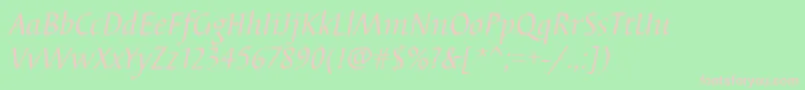 BarbedortItalic Font – Pink Fonts on Green Background