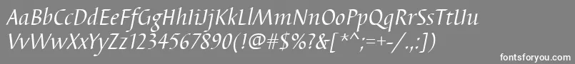 BarbedortItalic Font – White Fonts on Gray Background