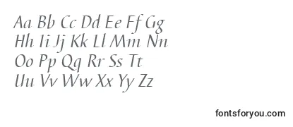 BarbedortItalic Font