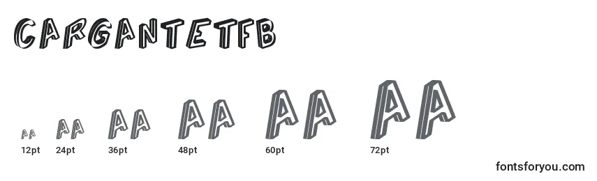 Размеры шрифта CarganteTfb