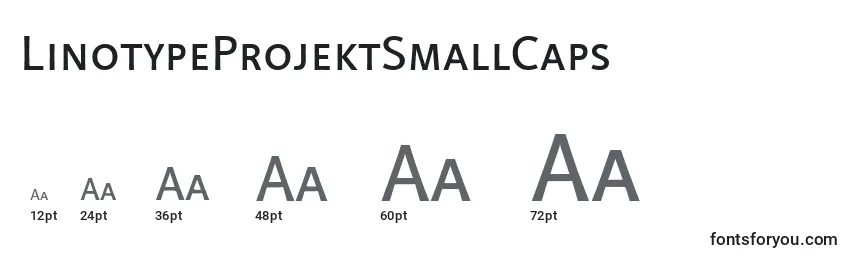 LinotypeProjektSmallCaps Font Sizes