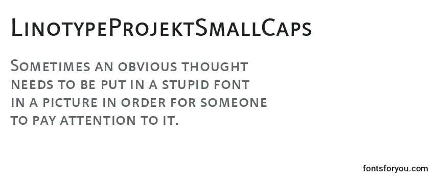 LinotypeProjektSmallCaps Font