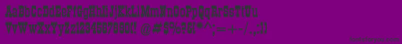 Dsroundupbold Font – Black Fonts on Purple Background