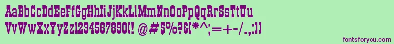 Dsroundupbold Font – Purple Fonts on Green Background