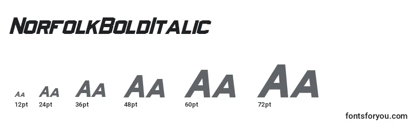 Размеры шрифта NorfolkBoldItalic
