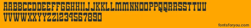 GomariceGomaWestern Font – Black Fonts on Orange Background