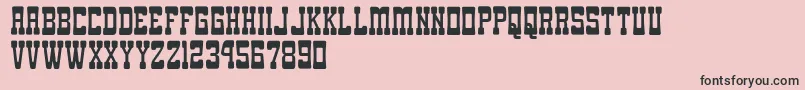 GomariceGomaWestern Font – Black Fonts on Pink Background