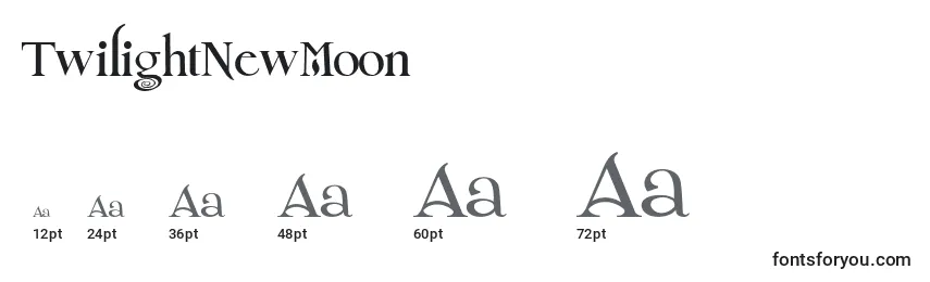 TwilightNewMoon Font Sizes
