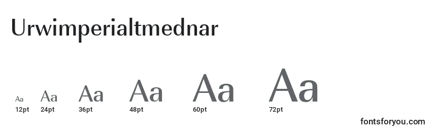 Размеры шрифта Urwimperialtmednar