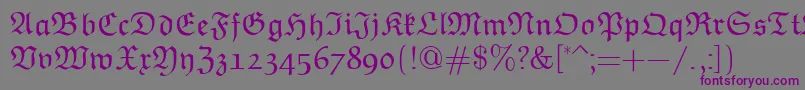 Шрифт EuclidFraktur – фиолетовые шрифты на сером фоне