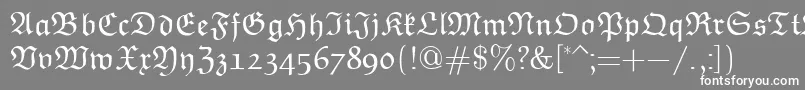 EuclidFraktur-fontti – valkoiset fontit harmaalla taustalla