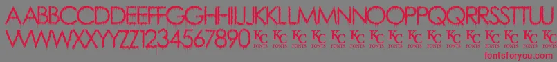 RainyDayVandaldemo Font – Red Fonts on Gray Background