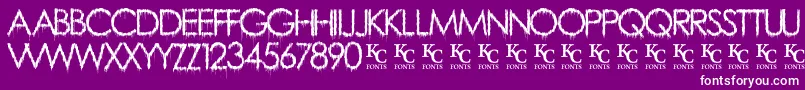 RainyDayVandaldemo Font – White Fonts on Purple Background