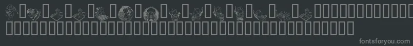 LcrCutesyCupid Font – Gray Fonts on Black Background