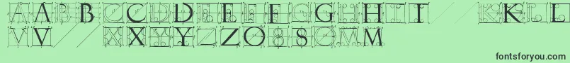 Sketchesbyduerer Font – Black Fonts on Green Background