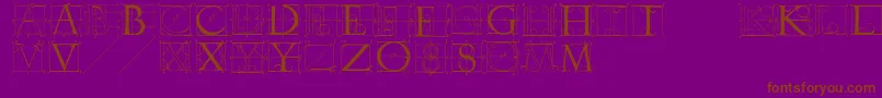 Sketchesbyduerer Font – Brown Fonts on Purple Background