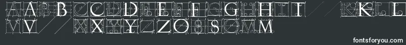 Sketchesbyduerer Font – White Fonts