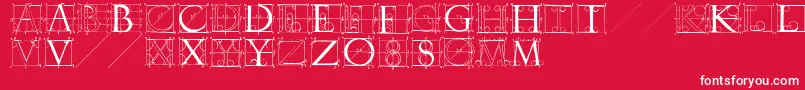 Sketchesbyduerer Font – White Fonts on Red Background