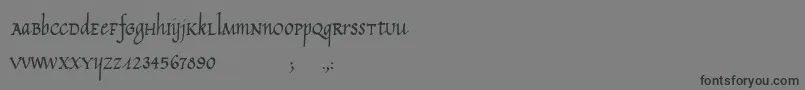 Więcej informacji o czcionce CalligraphyUnicase Czcionka CalligraphyUnicase – czarne czcionki na szarym tle