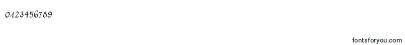 CalligraphyUnicase Font – Fonts for Numbers and Digits