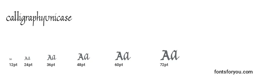 Размеры шрифта CalligraphyUnicase