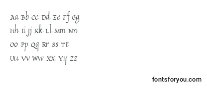 Przegląd czcionki CalligraphyUnicase
