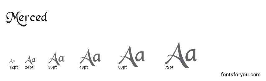 Merced Font Sizes