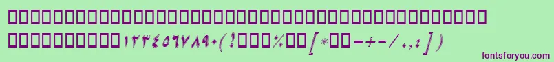 BNikiBorderItalic Font – Purple Fonts on Green Background